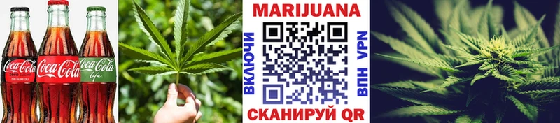 блэк спрут как войти  Новохопёрск  Cannafood конопля  купить наркотики сайты 