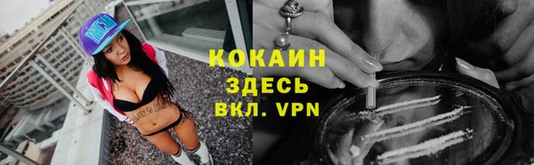 прущая мука Верея