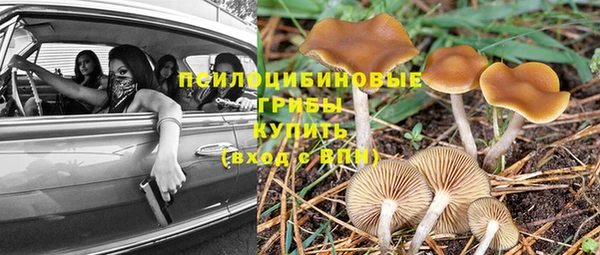 прущая мука Верея
