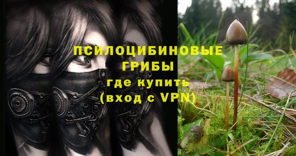 первитин Бородино