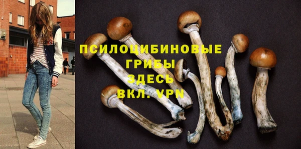 СК Верхний Тагил