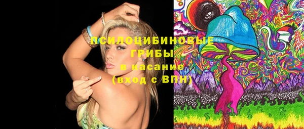прущая мука Верея