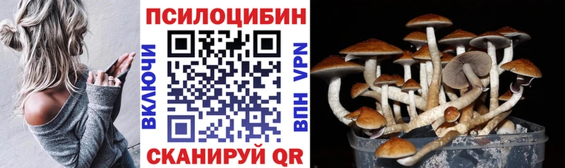 mega зеркало  Новохопёрск  Галлюциногенные грибы ЛСД 